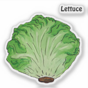 Lettuce