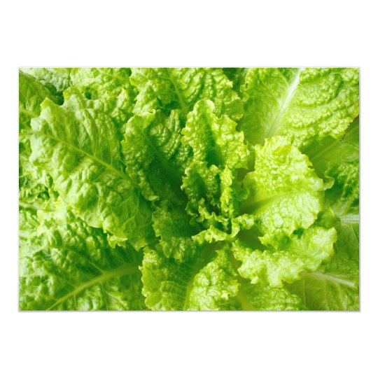 Lettuce Card