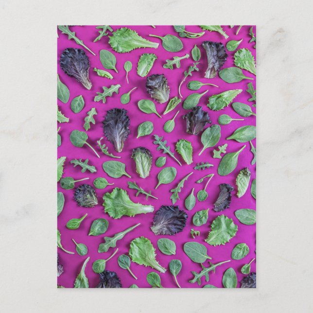 Lettuce Greens on Purple Postcard (Front)