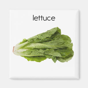 Lettuce Refrigerator Magnet