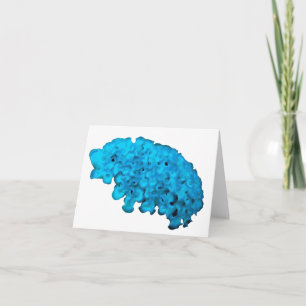 Lettuce sea slug card