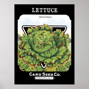 Lettuce Seed Packet Label Poster