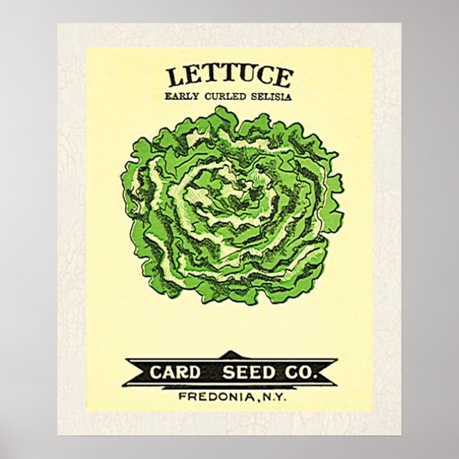Lettuce Seeds Card Seed Company Poster (Front)