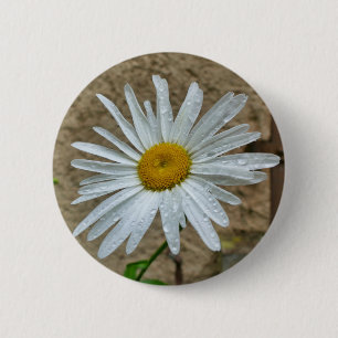 Leucanthemum Bloom Badge