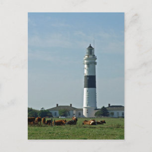 Leuchtturm Postcard