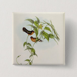 Leucippus Fallax 15 Cm Square Badge