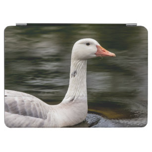 Leucistic Canadian Goose iPad Air Cover
