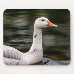Leucistic Canadian Goose Mouse Mat