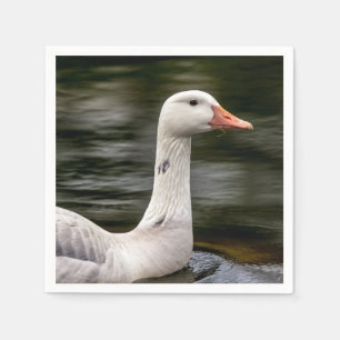 Leucistic Canadian Goose Napkin