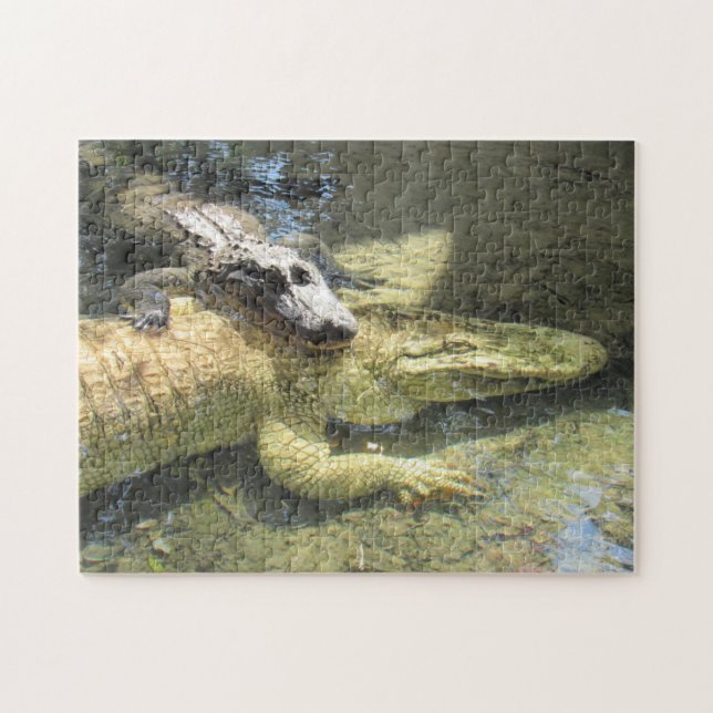 Leucistic Gator and Friend Puzzle (Horizontal)