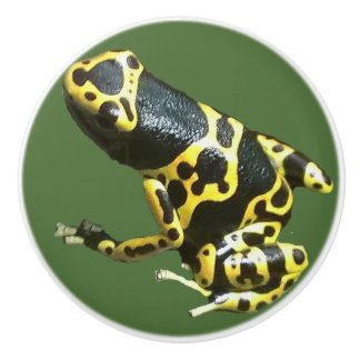 Leucolmelas drawer pull, frog door knob dart frog