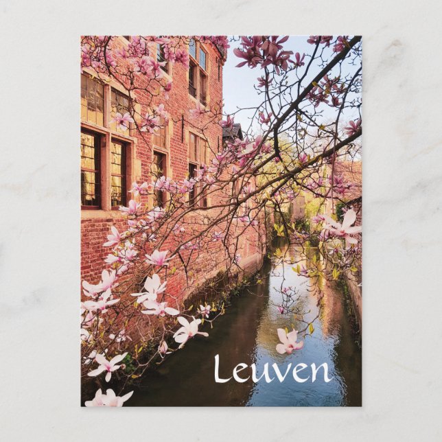 Leuven Belgium travel photo   Postcard (Front)