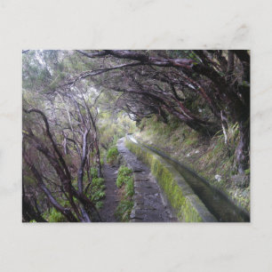 Levadas in Madeira, Portugal Postcard