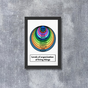 Levels of organisation of living things poster