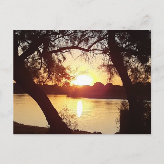 Lever de soleil sur La Grande Motte - France Postcard (Front)