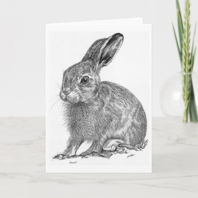 Leveret Card (Front)