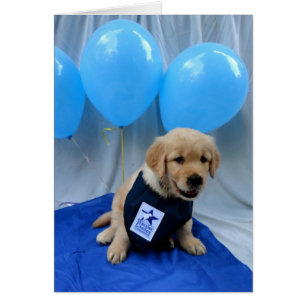 Levi Balloon Card