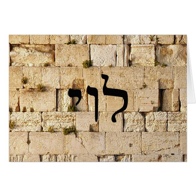 Levi, Leivi, Laivi In Hebrew Block Lettering (Front Horizontal)