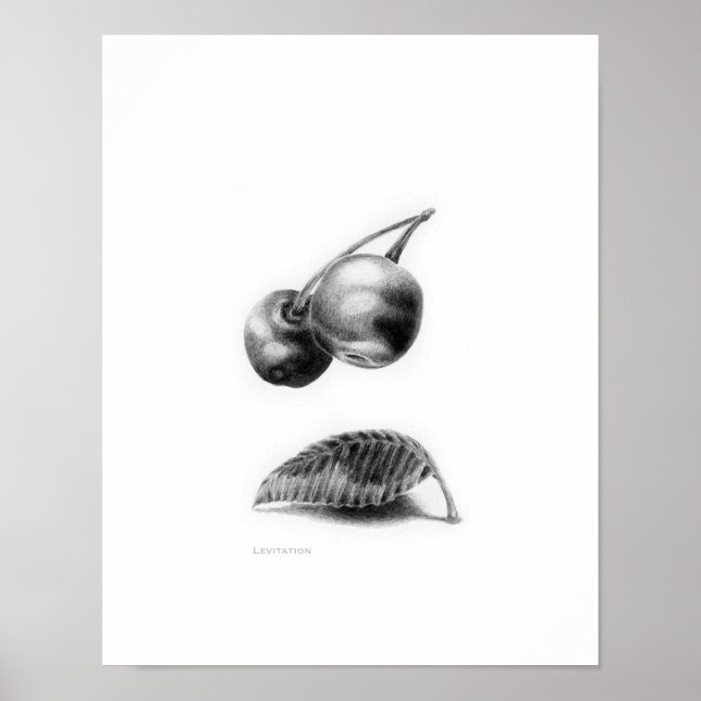 Levitation Poster (Front)