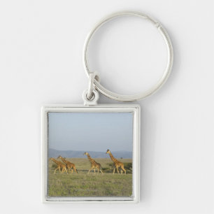 Lewa Wildlife Conservancy, Kenya Key Ring