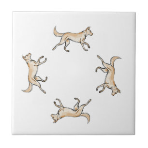 Lexi Trot Tile