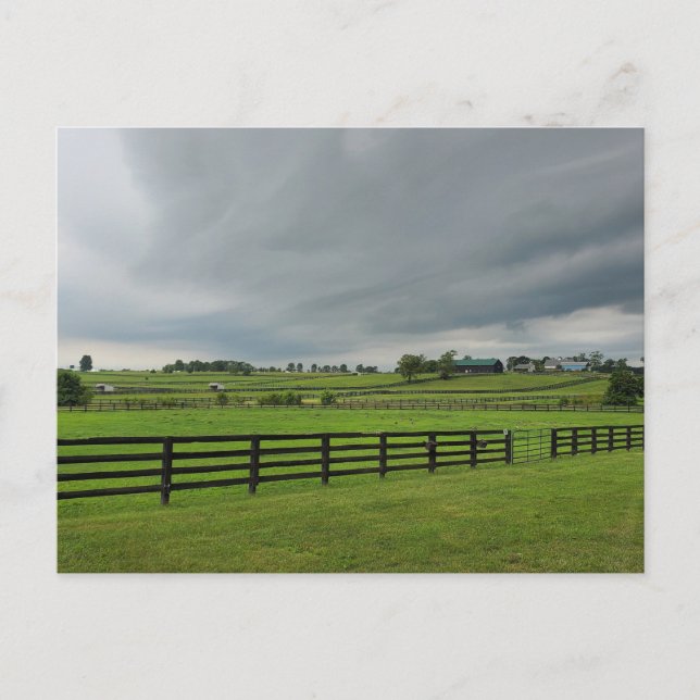 Lexington, Kentucky Postcard (Front)