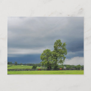 Lexington, Kentucky Postcard