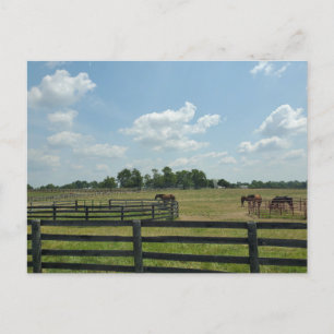 Lexington, Kentucky Postcard