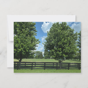 Lexington, Kentucky Postcard