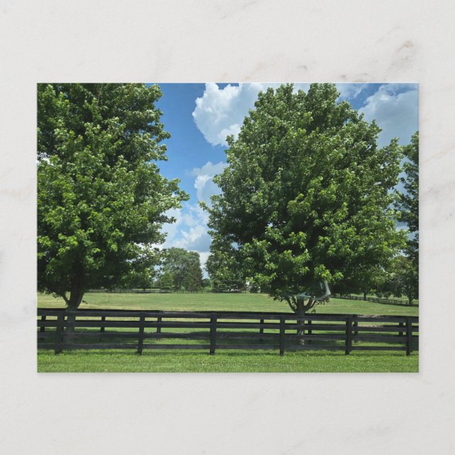 Lexington, Kentucky Postcard (Front)