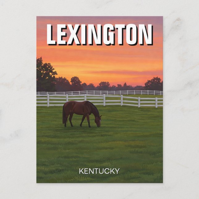 Lexington Kentucky Postcard Horse Sunset (Front)
