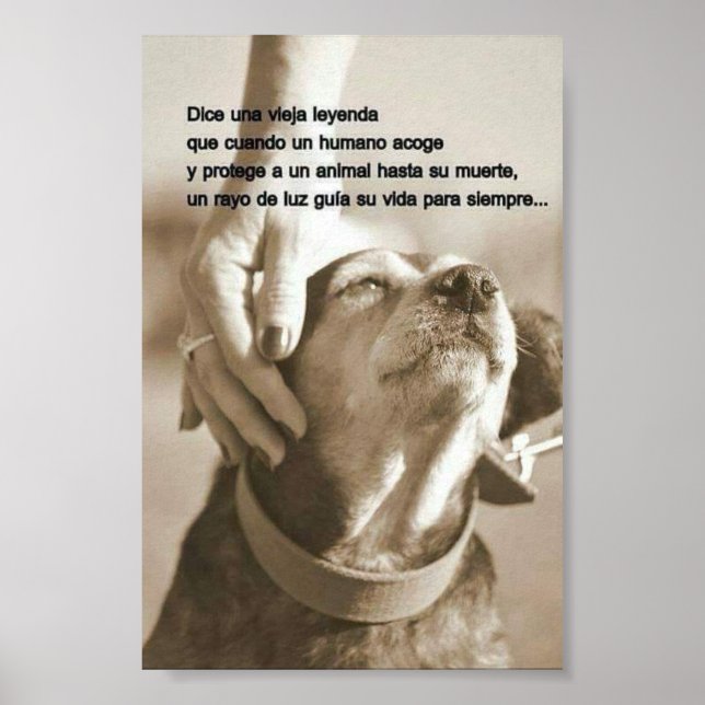 Leyenda sobre adoptar animales poster (Front)