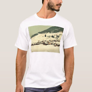 Leysin, the village and sanatorium in winter, Nand T-Shirt