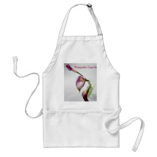 LFSB004, Pasquale Caprile Standard Apron
