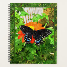 Lg Planner Black Swallowtail Graphic