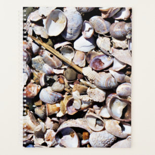 Lg Planner Seashells