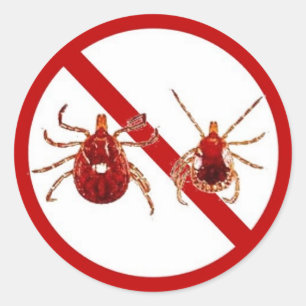 Lg. Stickers, Lyme Disease Awareness (White) Classic Round Sticker