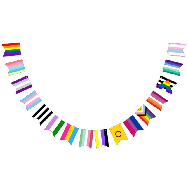 LGBT All Flag Pride Member Bunting Banner Party (All)