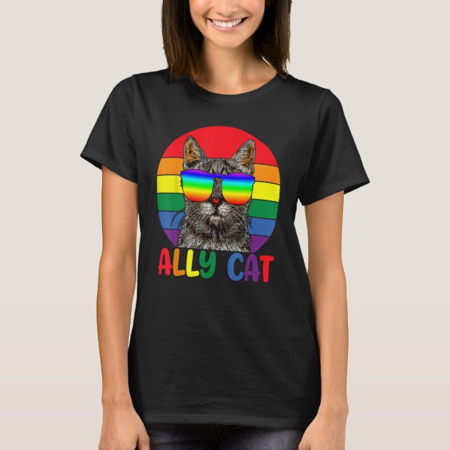 LGBT Ally Cat Be Kind Gay Rainbow Funny LGBTQ Flag T-Shirt (Front)