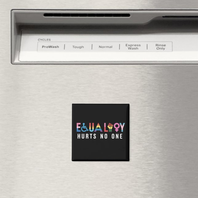 Lgbt Equality Hurts No One Pride Human Rights Magnet (In Situ (Dishwasher))