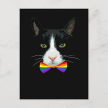 LGBT Gay Cat with Rainbow Bow Tie