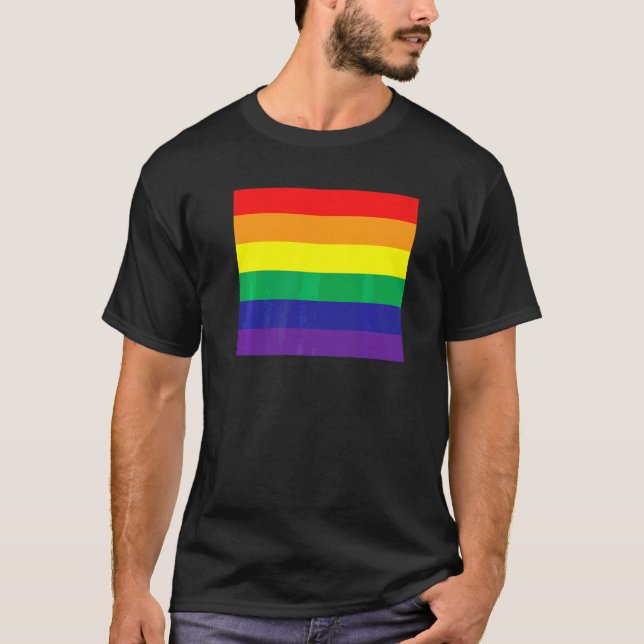 Lgbt Rainbow Fist Pride Month Merch Lgbtq Gay Prid T-Shirt (Front)