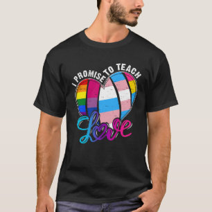 LGBT Teacher Promise To Teach Proud Allies LGBT Q  T-Shirt