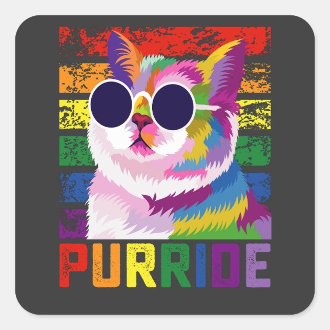 LGBT Tie Dye Pride Cat Purride Gay Rainbow Retro Square Sticker (Front)