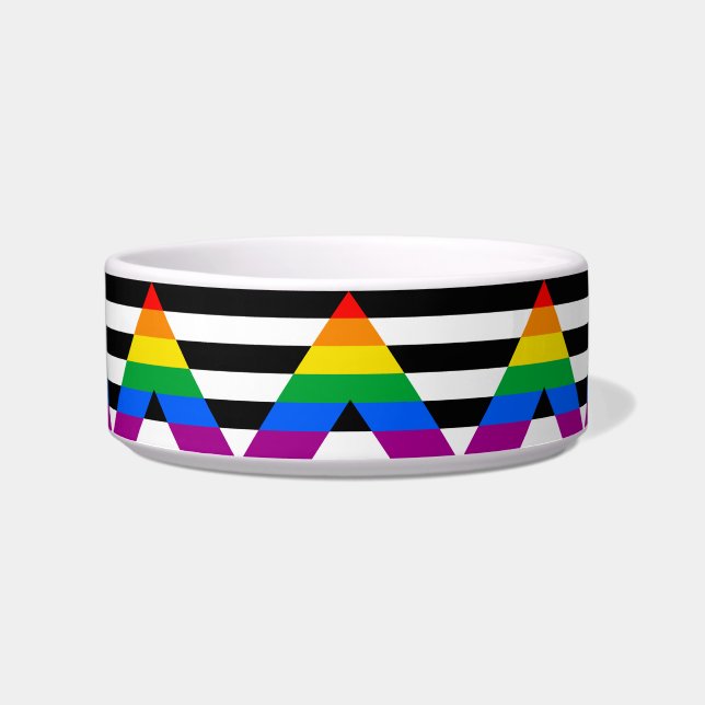 LGBTQ+ Ally Flag Bowl (Front)