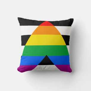 LGBTQ+ Ally Flag Cushion