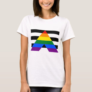 LGBTQ Ally, Support your friends and family T-Shirt