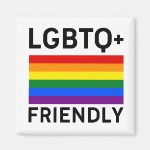 lgbtq friendly pride flag symbol Transsexual gay l Magnet