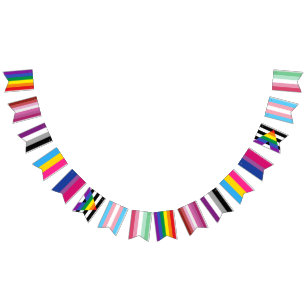LGBTQ Gay Lesbian Ace Pan Bi Ally Trans Abro Pride Bunting
