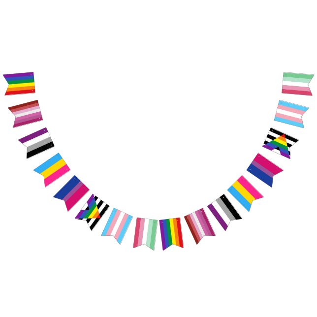 LGBTQ Gay Lesbian Ace Pan Bi Ally Trans Abro Pride Bunting (All)